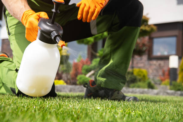 Best Affordable Pest Control Services  in Lantana, FL