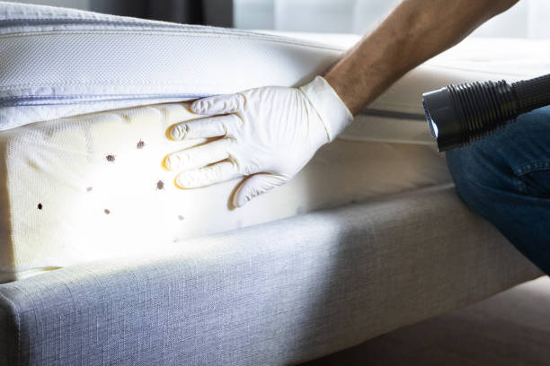 Best Best Pest Control Companies  in Lantana, FL