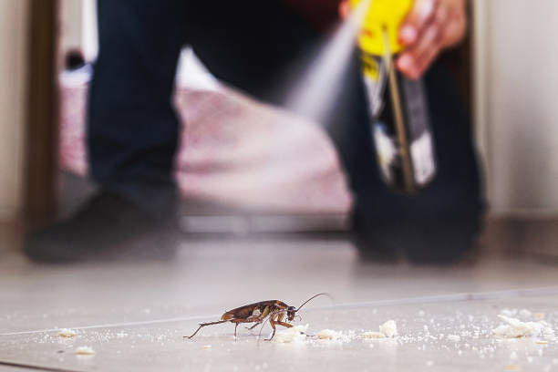 Best Pest Inspection Near Me  in Lantana, FL